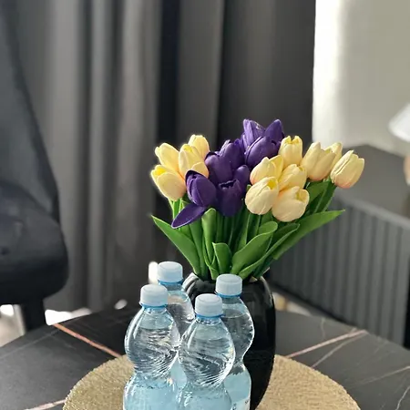 Wave & 8th Floor Sea View Sunny Haven